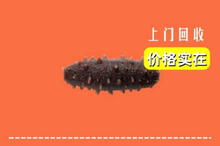 榆林市府谷回收海参