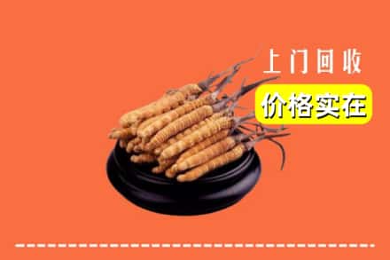 榆林市府谷回收冬虫夏草